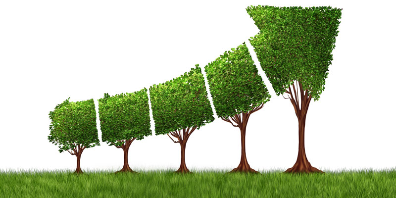 HOW TO SCALE YOUR GROWTH MINDSET: THE LEARNING RATE VS GROWING RATE MODEL